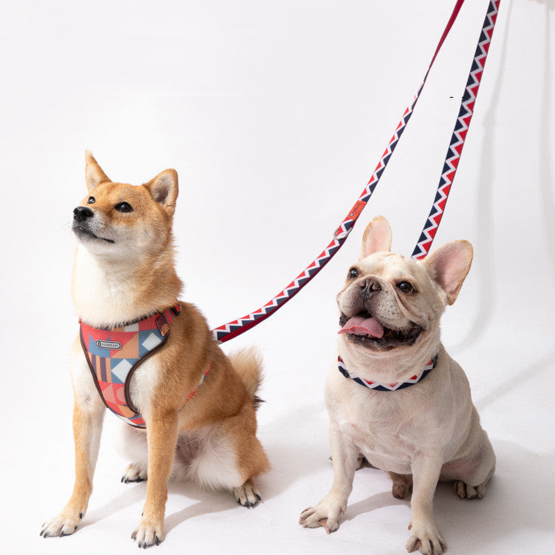 Discover the Freedom of Movement with the Rainbow Hands-free Traction Rope